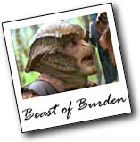 beaston